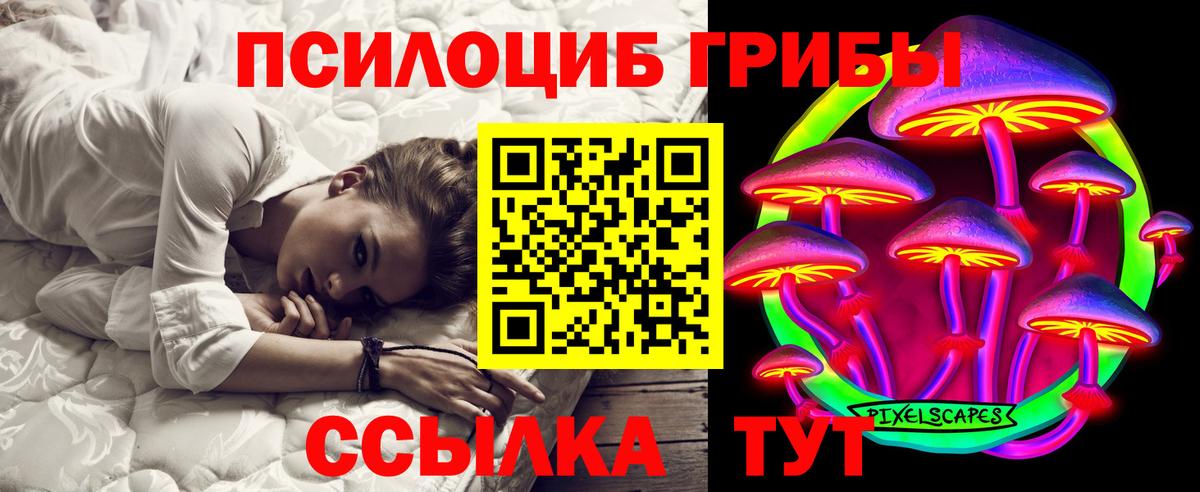 Галлюциногенные грибы прущие грибы  Вход с VPN  Россошь 