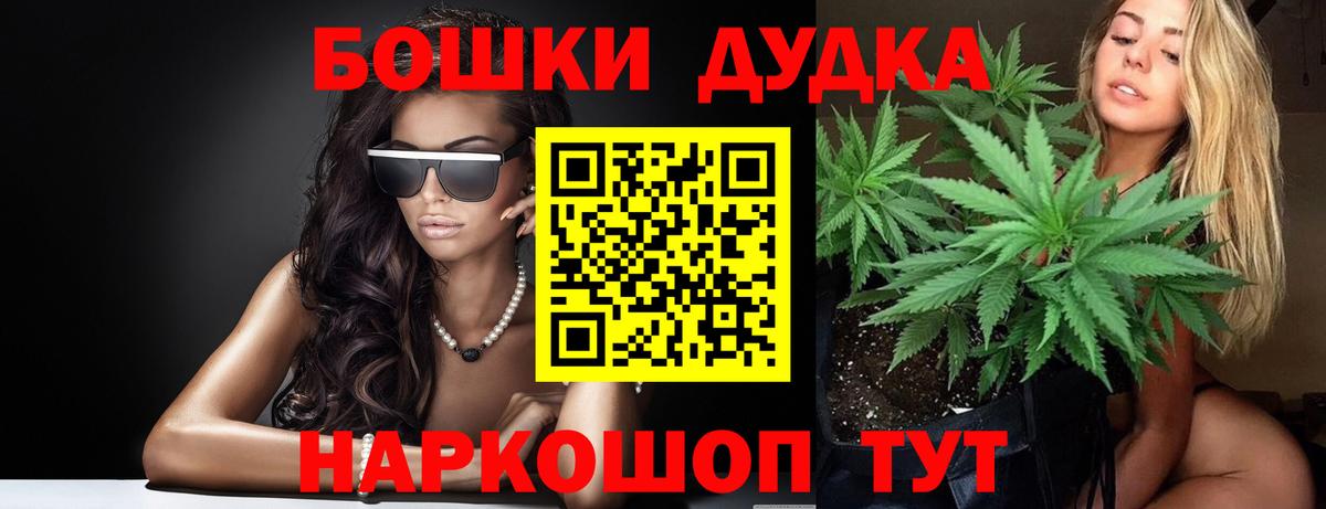 Бошки марихуана сатива  Бошки марихуана план  Каннабис семена  Вход с VPN  Россошь 